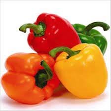 Fresh Coloured Capsicum - Hoho P-Kg